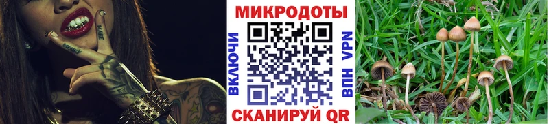 даркнет сайт  Изобильный  Псилоцибиновые грибы GOLDEN TEACHER 