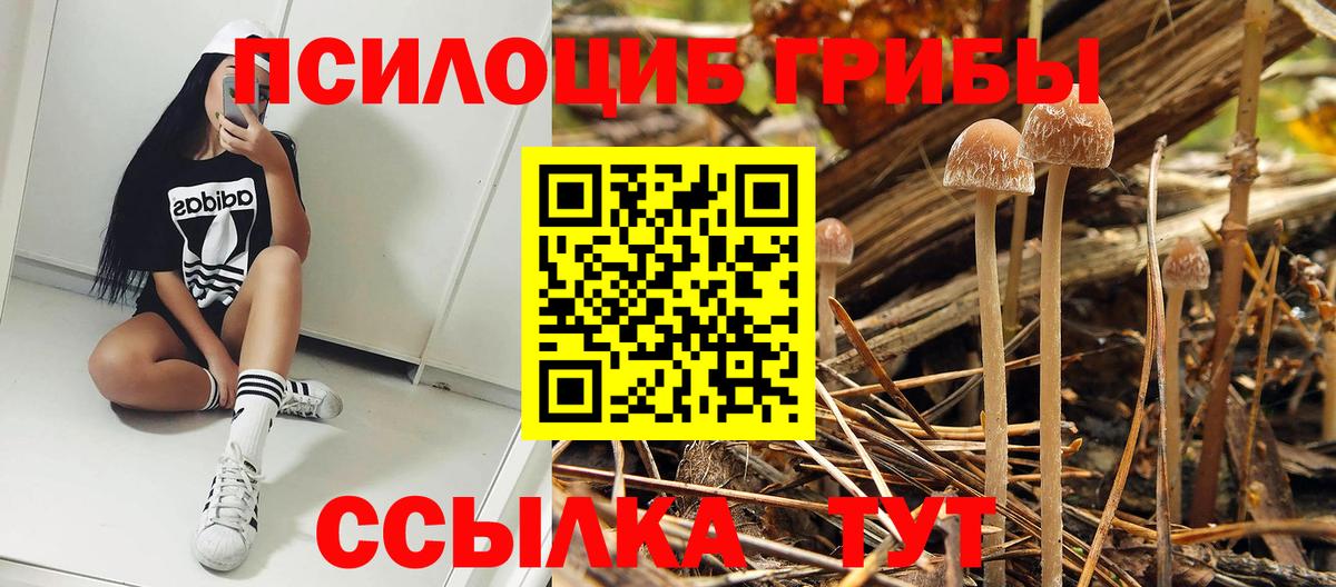 Псилоцибиновые грибы Psilocybe  Вход с VPN  Изобильный 